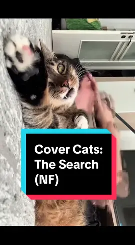 NF fans, you’ll get it. Cat people, you’ll feel it. 😹 Cover Cats: The Search — because cats be going through it too. It’s not all laser chasing and catnip highs. 🎥 Starring some of your favorite cats. Show me your cats reaction 😺 #nf #relatable #catmemes #funnycats #fyp