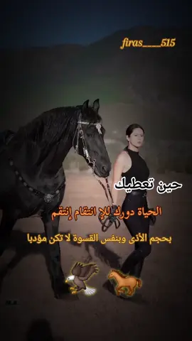 #خيل_وخياله🐎  #horses 