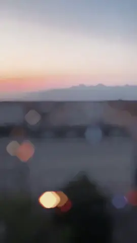 #algeria🇩🇿 #germany🇩🇪 