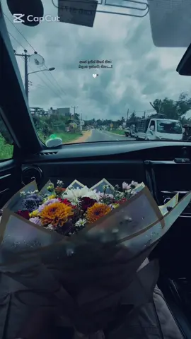 මේ හිත සනසා 😭🤍