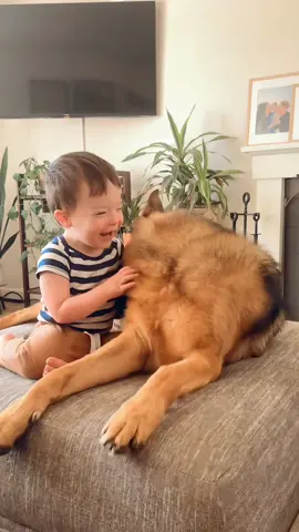The sweetest friendship🥰🥰 #dog #pet #baby #Love #TrueLove #lovestory #bestfriend #cute #dogsofttiktok #foryou #usa🇺🇸 