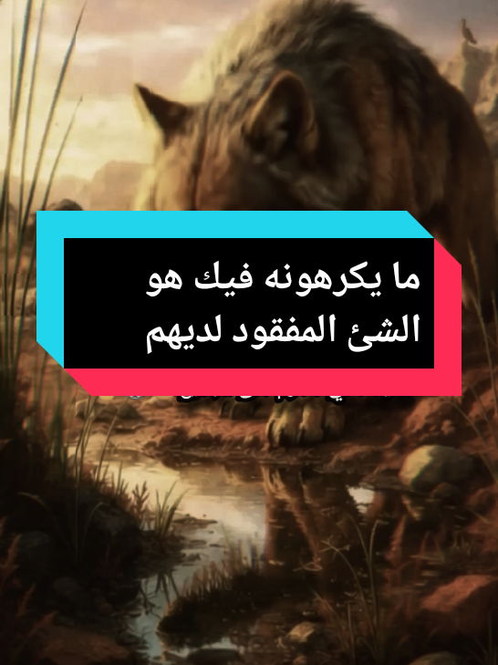 الذئب السيقما مايخصني محرم على الجميع#الذئب السيقما🇩🇿 جيش الذئاب الثقة والتواضع والعزة والكبرياء كل افراده جيش واحد لا يوهان ولا يستهان#اكسبلور @الذئب السيقما 