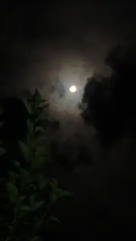 کیسا میں ہم سفر تمہارا ہوں ساتھ ہوں منتظر تمہارا ہوں مجھ سے پوچھا مرا تعارف جو کہہ دیا مختصر تمہارا ہوں خود جو ٹوٹا تجھے بنانے میں میں وہی کوزہ گر تمہارا ہوں ہو سکے تم نہ میرے پل کے لئے اور میں عمر بھر تمہارا ہوں سایہ میرا تو میرے بس میں نہیں پر ہے وعدہ شجر تمہارا ہوں ہم کو منظور ہر قیامت ہے وہ جو کہہ دے اگر تمہارا ہوں روک رکھا ہے ایک صحرا نے ضد کرے میں ہی گھر تمہارا ہوں تم تو دنیا کے ہوگئے ابرک اور میں بے خبر تمہارا ہوں❤️‍🩹 #foryou #fypシ゚ #poetry 