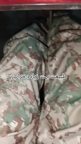 #Pindiboy #Armylover #Foryoupage #Trendingvideo 