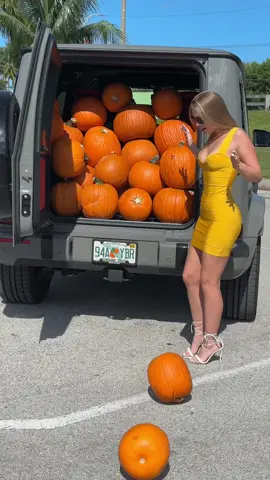 #olesiavog #ОлесяВог #лайфстайл #Lifestyle 