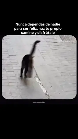 Así deve ser disfrutarlo ❤️