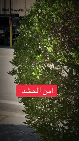 #مدريه_امن_حشد_شعبي #الحشد_الشعبي_المقدس #ابو_جعفر_الدراجي_أمن_الحشـد #تيك_توك #كسبلور 