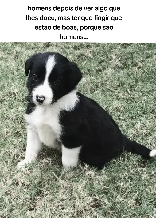 #dogcore #paravoce #fyp #vazio #dor 