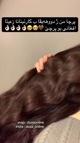 زەیتا افغانی یا ئەسلی بەردەستە لدەف من #fyp #viral #foryou #hair  #creatorsearchinsights 