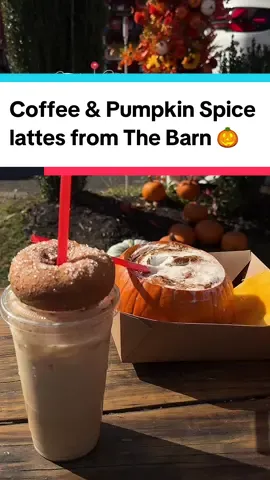 Solid PSL😍☕️🎃 from📍 @thebarn_merrick The Barn, 2081 Merrick Rd. Merrick, NY (Long Island). Worth the $16 just this once 🤭 #coffeetiktok #pumpkinspicelatte #pumpkinseason #longislandnewyork #fallcoffee 