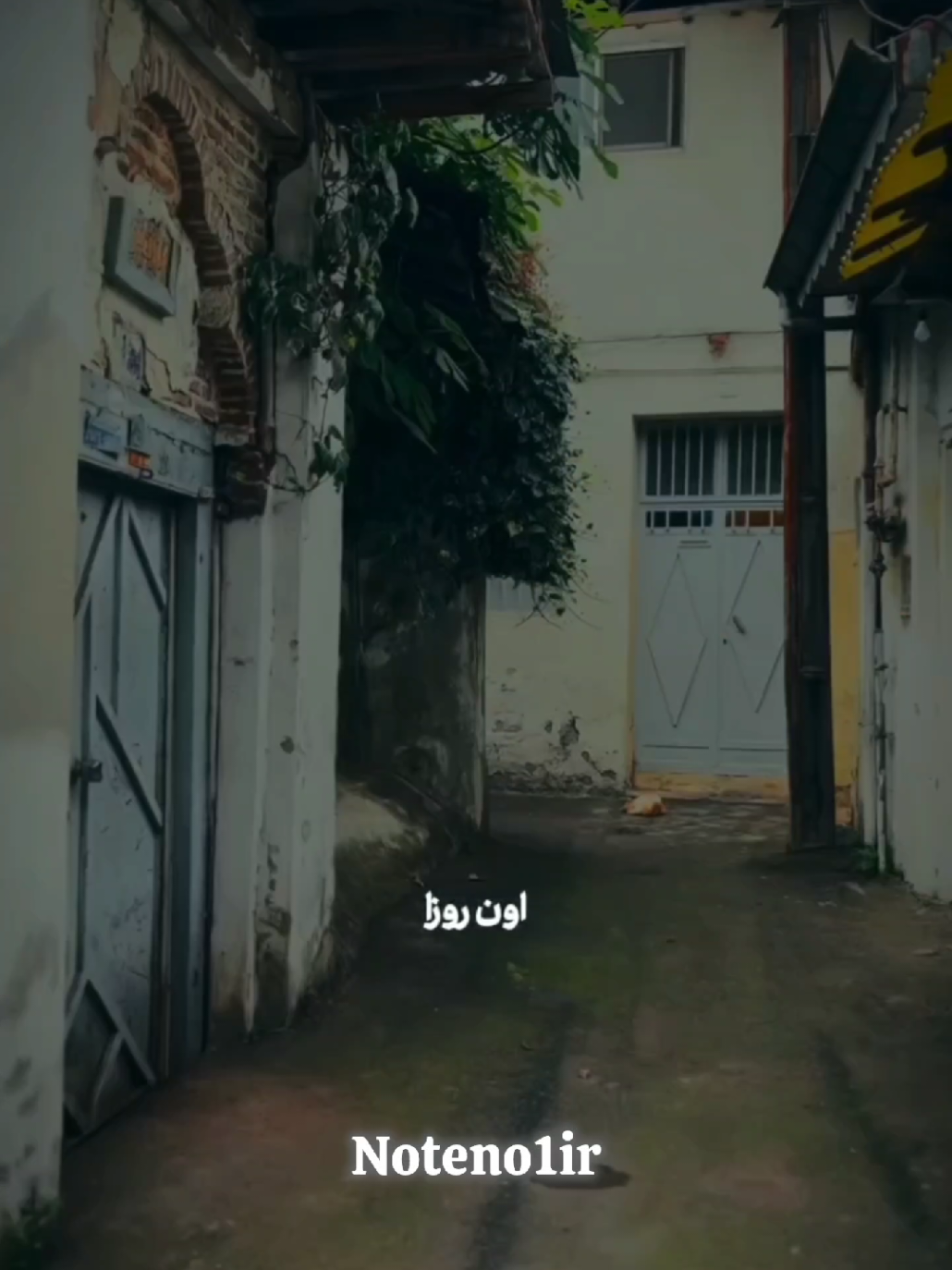 #سیاوش_قمیشی #fyp #explore #music #siavashghomayshi 