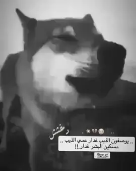 #استوريات_متنوعه🤟 