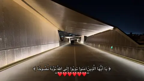 #قران #ماهرالمعيقلي #قران_كريم #صدقة_جارية #تلاوة_خاشعة 