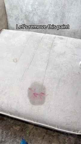 #foru #carpetcleaning #cleaning #asmr #carpetclean 