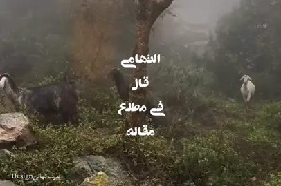 #دمه عسيريه#دمه حماسيه #دمه روعه#