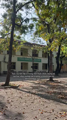 khi những giấc mơ đang được viết 🍀 #20s #highschool #memories 