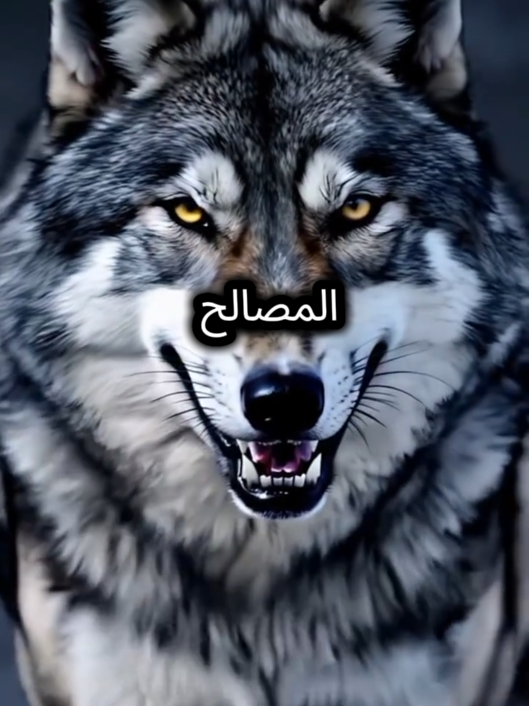 اكثر شيء يجعلني فخورا بنفسي #المواقف #اقتباسات_عبارات_خواطر #اقوال_وحكم_الحياة #كلام_من_ذهب #elahmedg1 