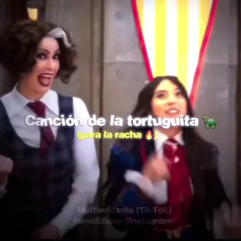 Video para la racha, pobre tortuguita #racha #videoparalaracha🔥 #fyp #fyp #noflop  @paula 