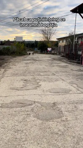 #straydogs #fypdogs #pentrucaini #dogslover #dogsoftiktok 