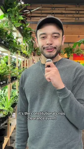 Here at the Gay Plant Store we know what’s really going on in Ba Sing Se