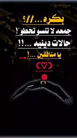 #عبارات_جميلة_وقويه😉🖤  #تصميم_فيديوهات🎶🎤🎬  #اعاده_نشر🔁 