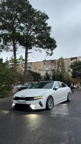 🌧️🤍 #77aj079 