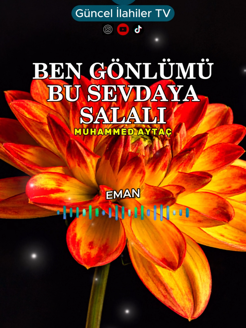 Ben Gönlümü Bu Sevdaya Salalı - Muhammed Aytaç #ilahi #ilahiler #ilahilerdenparçalar #engüzelilahiler #guncelilahilertv