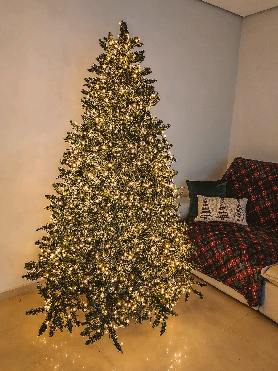 Começou o reality 'Montando a Árvore - edição confusão natalina! 🎥🎄 . . . #natalhome380 #natal #decoracaodenatal #merrychristmas #natal2025