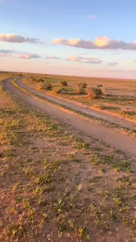 #باديه_النجف #النجف_الأشرف #باديه_السماوه #اسعدسلمان_جبار_الحاتمي #اسعدالحاتمي  @🔱.𝐔𝐌𝐔𝐓.🔱  @.. 아마르 알리 아부드 알-사에디..  @عياده المعيجل 🤍 