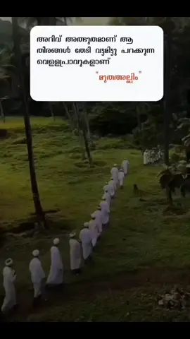 അറിവ് അത്ഭുതം ആണ് ആ തീരങ്ങൾ തേടി വട്ടമിട്ട് പറക്കുന്ന പ്രാവുകൾ ആണ് #masha #allah 🤲