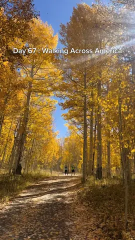 IM WALKING ACROSS AMERICA AGAIN 🇺🇸! DAY 67 18 Miles ~1100/3000 KEEP GOING