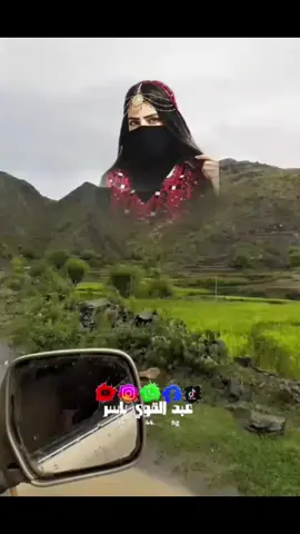 قلتو للطير مالك هاكذا#تصميم_فيديوهات🎶🎵🎤🎬 #kesfet #foryoupage 