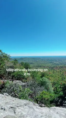 #real #fyp #nature #nc #Hiking 