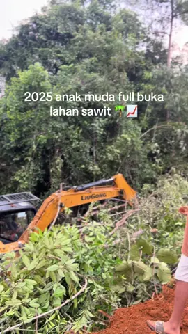 pinjam 100 lok cs #xybca #sawit #sawitkalimantan #petanimuda 
