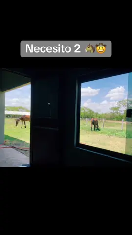 Por si alguien tiene #santacruzdelasierra🇳🇬 #agropecuariaflordelima 