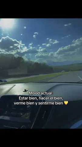 Te lo dije cantando 🫰🏻#carretera #canta #copiloto #amor 