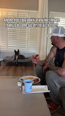 Intensity level of staring 11/10 #rescuedog #adoptdontshop 