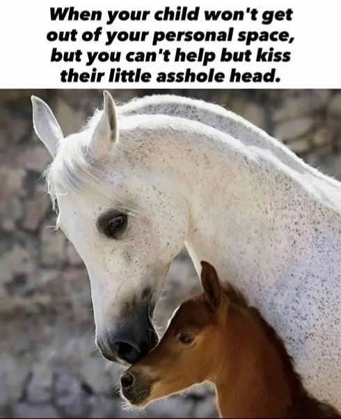 Completely touched out but not missin out on these kisses 😩😅 #parentinghumor #motherhoodunfiltered #relatablemom #relatableparenting #parentingmemes 