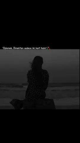 #🖤 