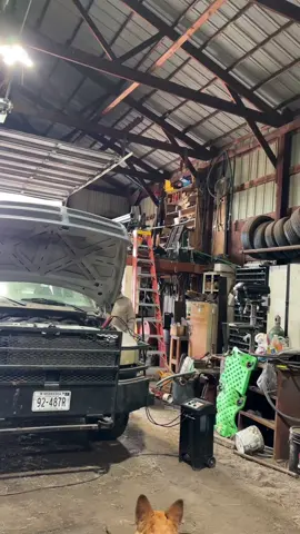 feelin a lil mobile in the hips today #fyp 