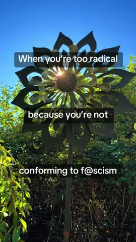 #democracy #humanrights #americanfascism #radical #equalityforall 