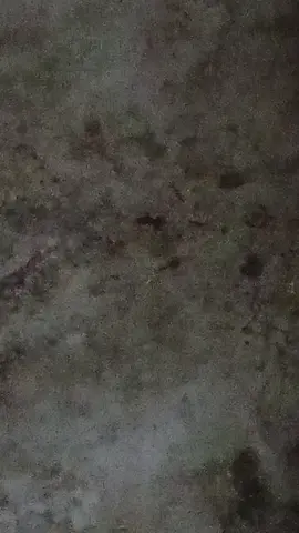 #хочуврек #creatorsearchinsights #тикток #луна 