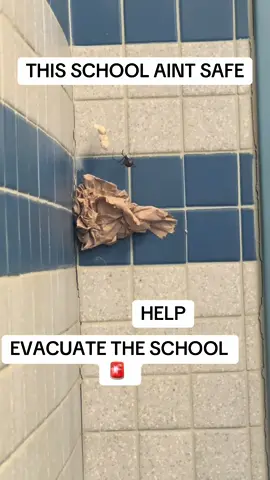 #school #spider 