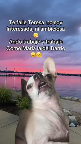 #CapCut #MemeCut #funnyvideos #fypシ #foryoupage 