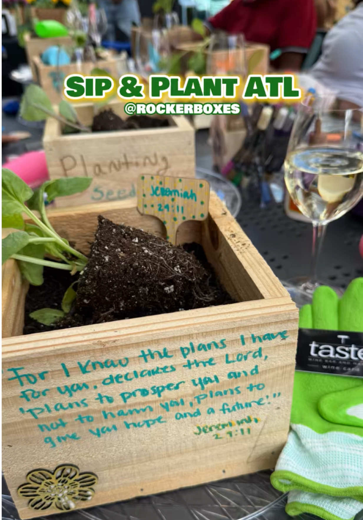Sip & Plant ATL x Taste Wine Bar was everything and more! Not only did we test out our green thumbs, but we formed meaningful connections in the process.  If you’re looking for something fun to do in Atlanta, add this to your list!   #atlantaugccreator #hospitalityugc #thingstodoinatlanta #ugccontentcreation #eventcontentcreator #ugccreation #restaurantugc #sipandplant #gardening 