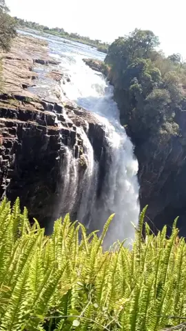 #victoria falls#zimbabwe 