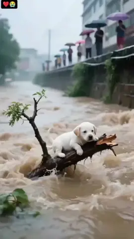 #😢😢😢😢 #