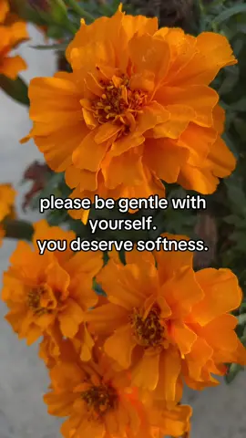 you deserve softness and gentleness, bestie #flower #nature #bestie #Love 