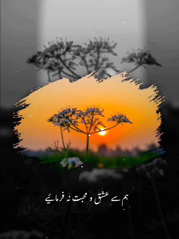 ہم کب کہتے ہیں کہ ہم آپ کو  بھول جائیں گے یقیناً آپ ہمیں خاک کر جائیں گے اور ہمیں نہیں ملے گا کوئی آپ جیسا انساں مگر آپ کو ہم سے بہترین مل جائے گا 