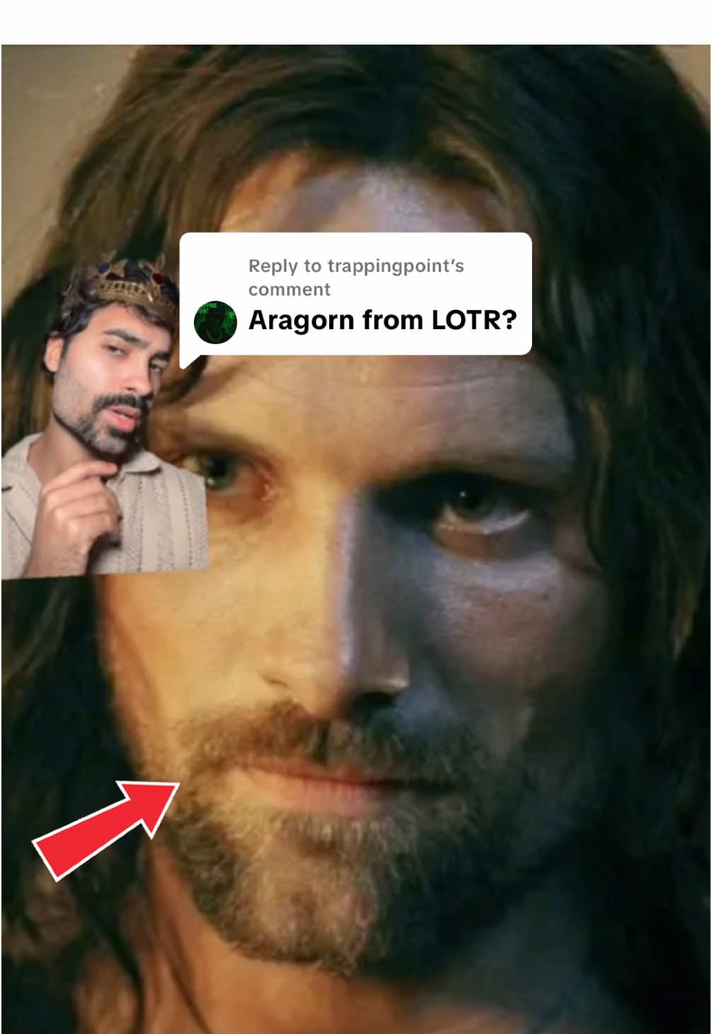 Replying to @trappingpoint How To Get The Aragorn Beard Look #beard #stubble #beardtrim #shave #goatee 